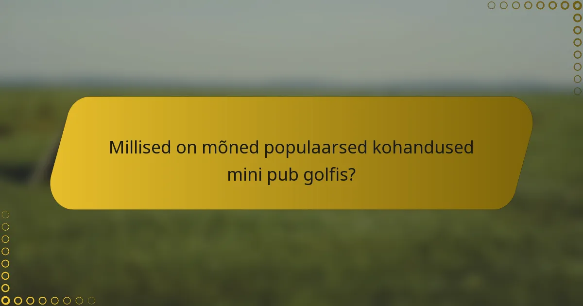 Millised on mõned populaarsed kohandused mini pub golfis?